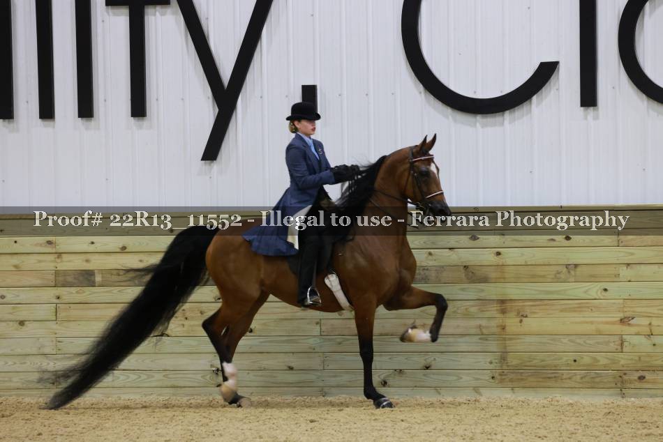 Proof 22R13_11552
