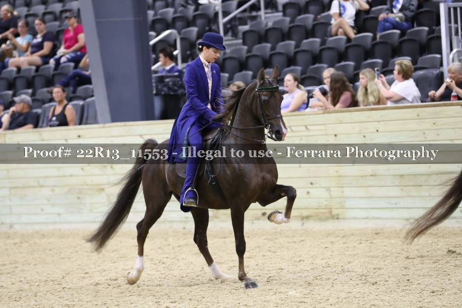 Proof 22R13_11553