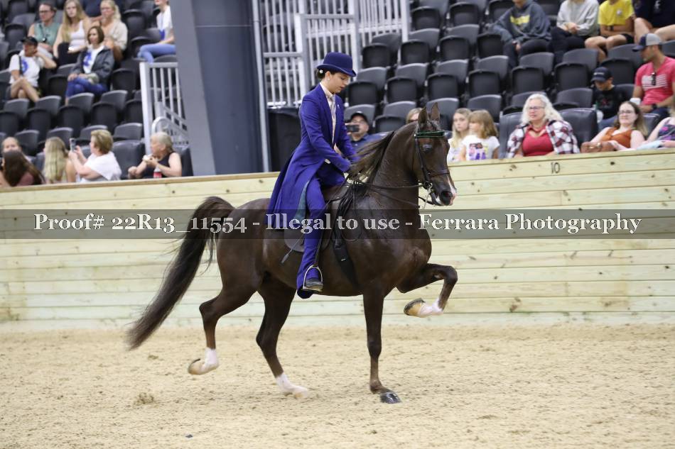 Proof 22R13_11554