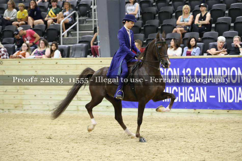 Proof 22R13_11555