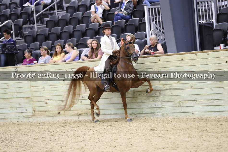 Proof 22R13_11556