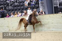 22R13_11556 proof