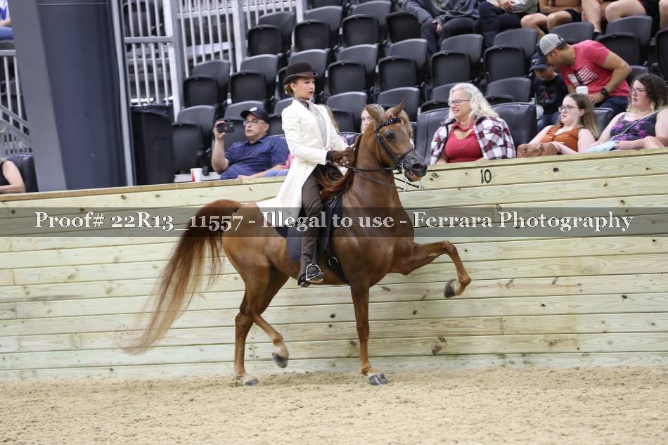 Proof 22R13_11557