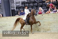 22R13_11557 proof