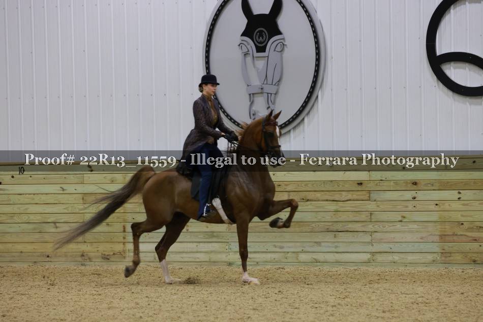 Proof 22R13_11559