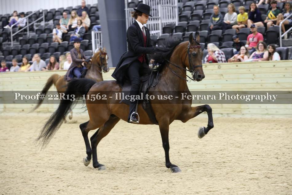 Proof 22R13_11562