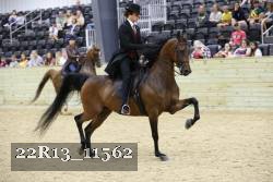 22R13_11562 proof