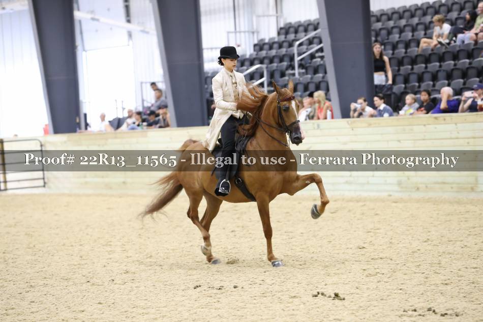 Proof 22R13_11565