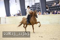 22R13_11565 proof