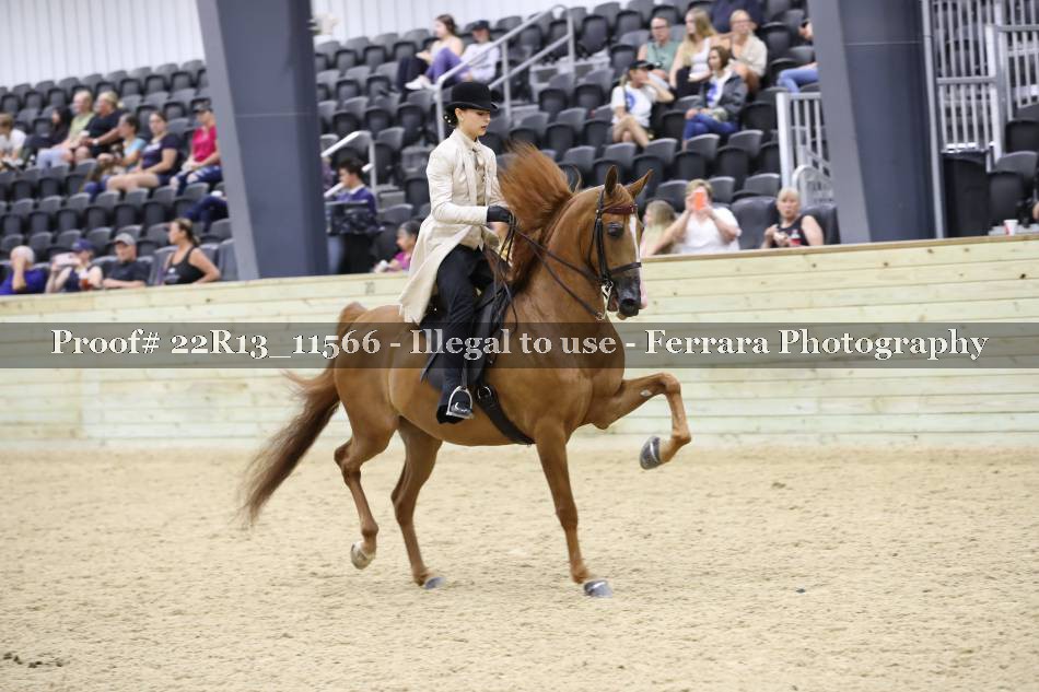 Proof 22R13_11566