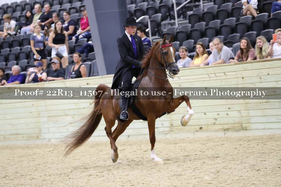 Proof 22R13_11567