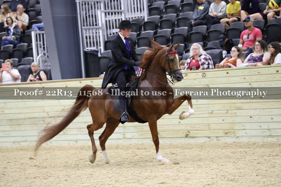 Proof 22R13_11568