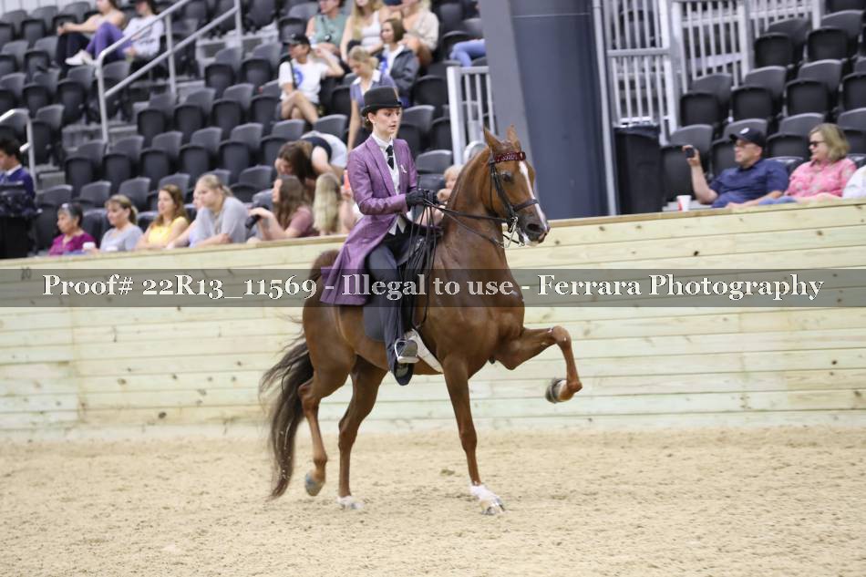 Proof 22R13_11569