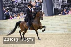 22R13_11571 proof