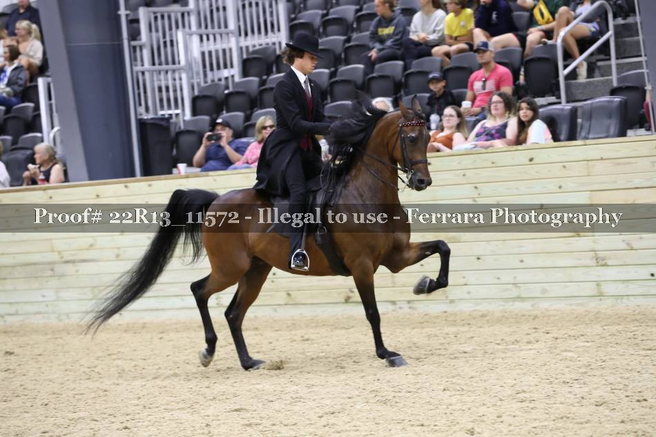 Proof 22R13_11572