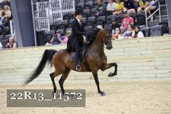 22R13_11572 proof