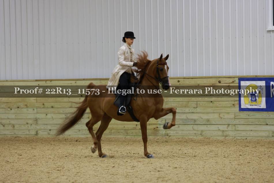 Proof 22R13_11573