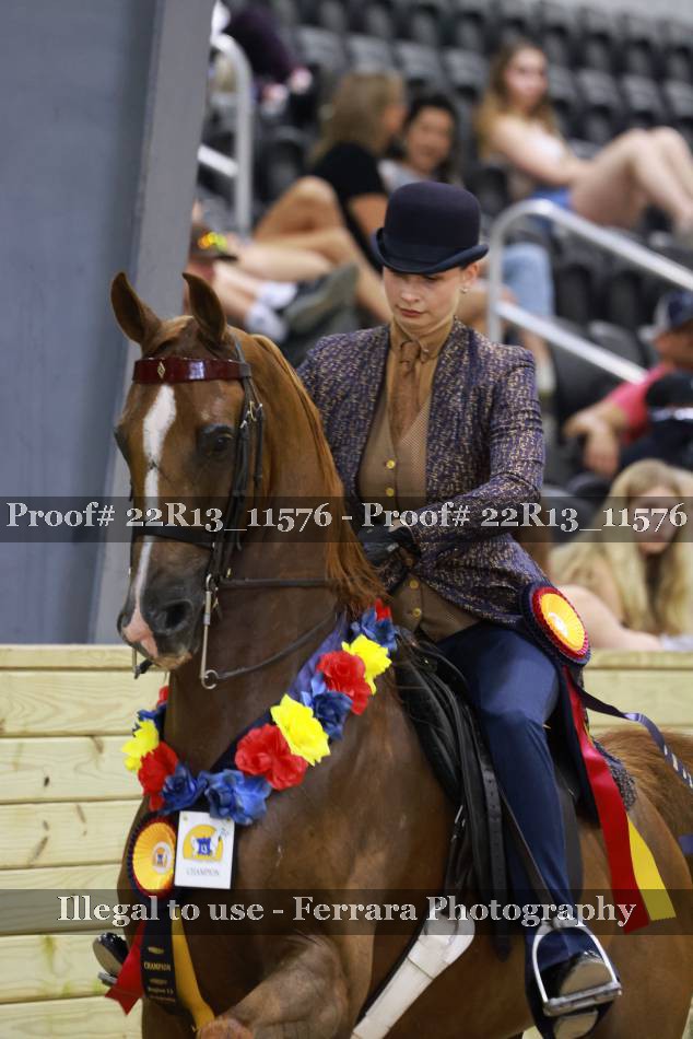 Proof 22R13_11576