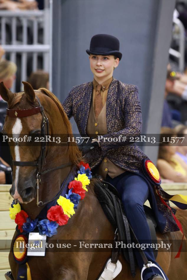 Proof 22R13_11577