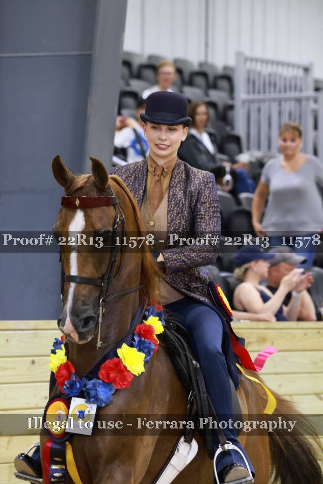 Proof 22R13_11578