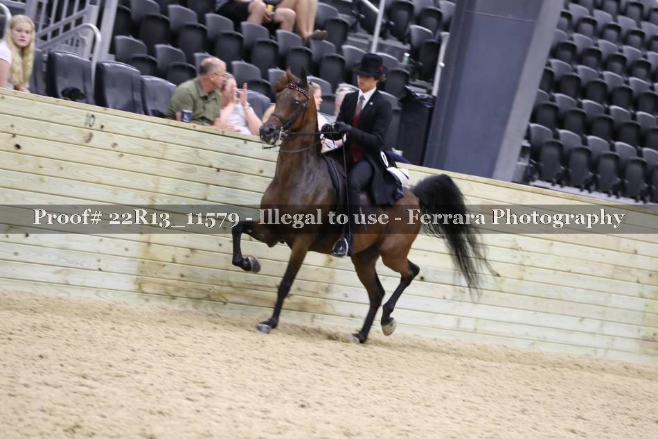 Proof 22R13_11579