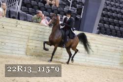 22R13_11579 proof