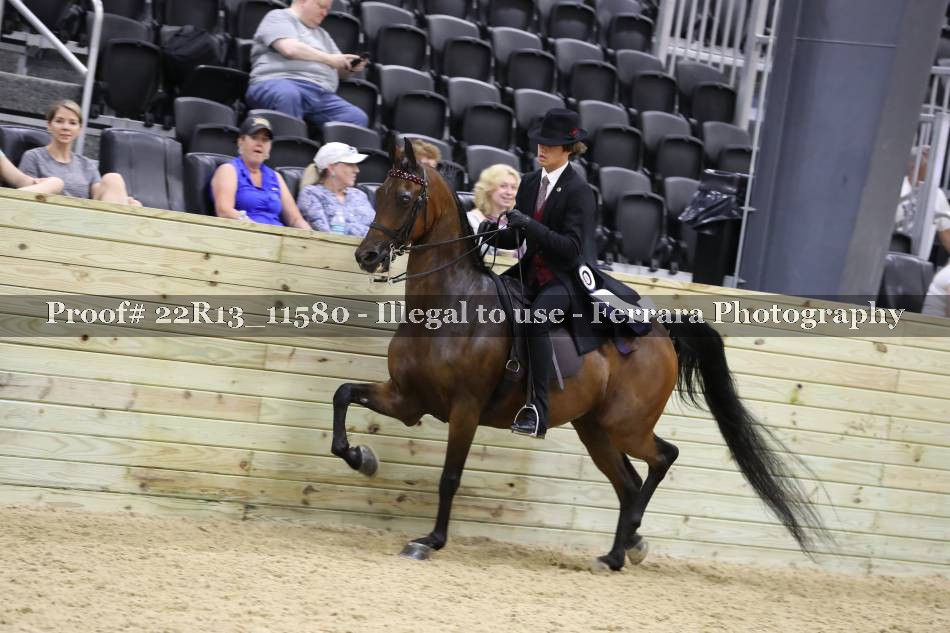Proof 22R13_11580