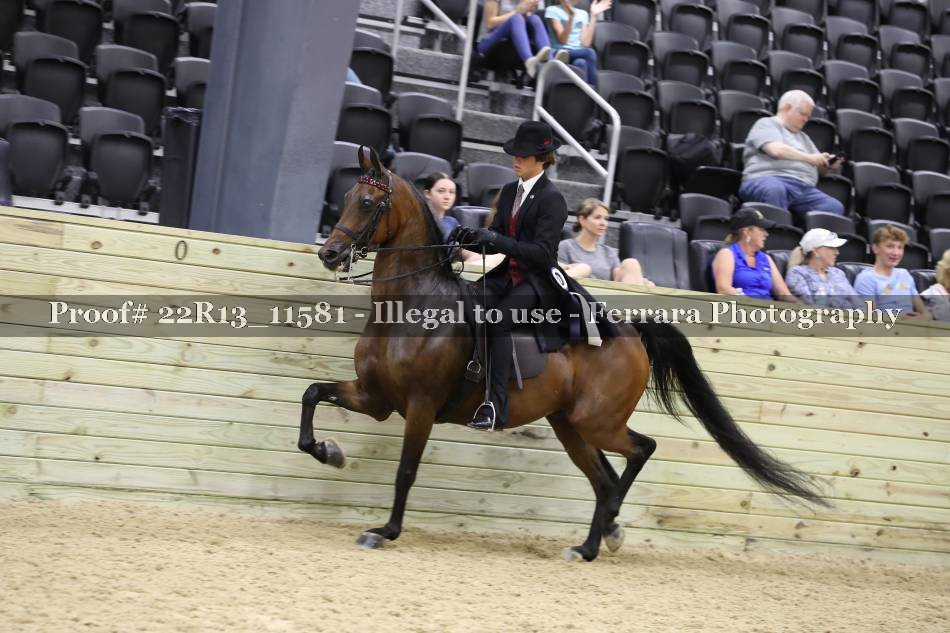 Proof 22R13_11581