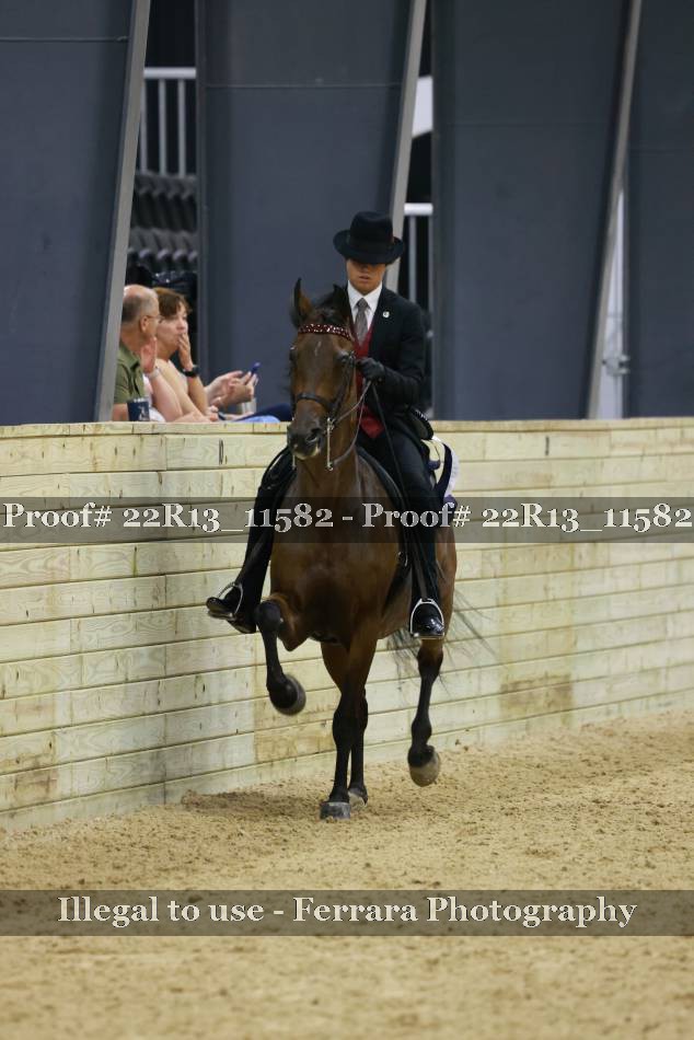 Proof 22R13_11582