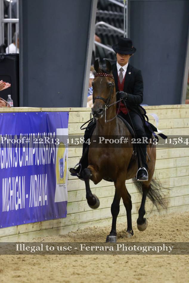 Proof 22R13_11584