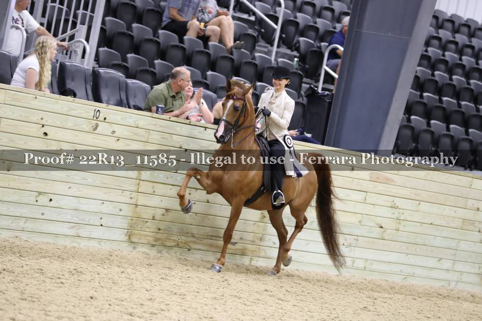 Proof 22R13_11585