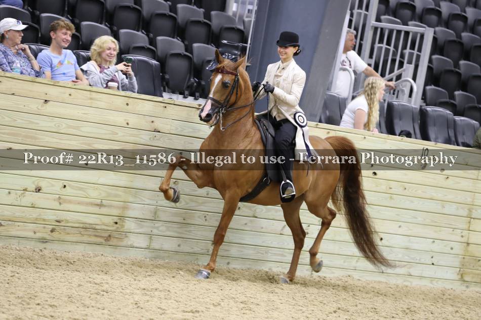 Proof 22R13_11586