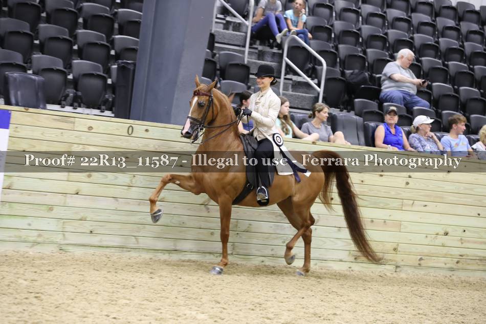 Proof 22R13_11587