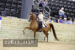 22R13_11587 proof