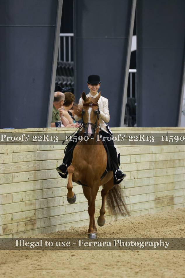 Proof 22R13_11590