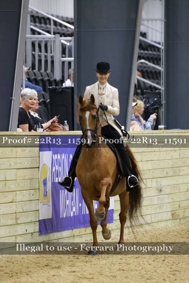 Proof 22R13_11591