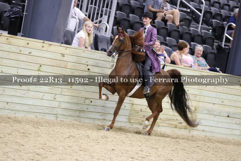 Proof 22R13_11592