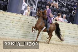 22R13_11592 proof