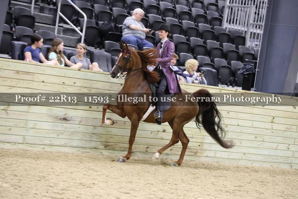 Proof 22R13_11593