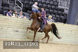 22R13_11593 proof