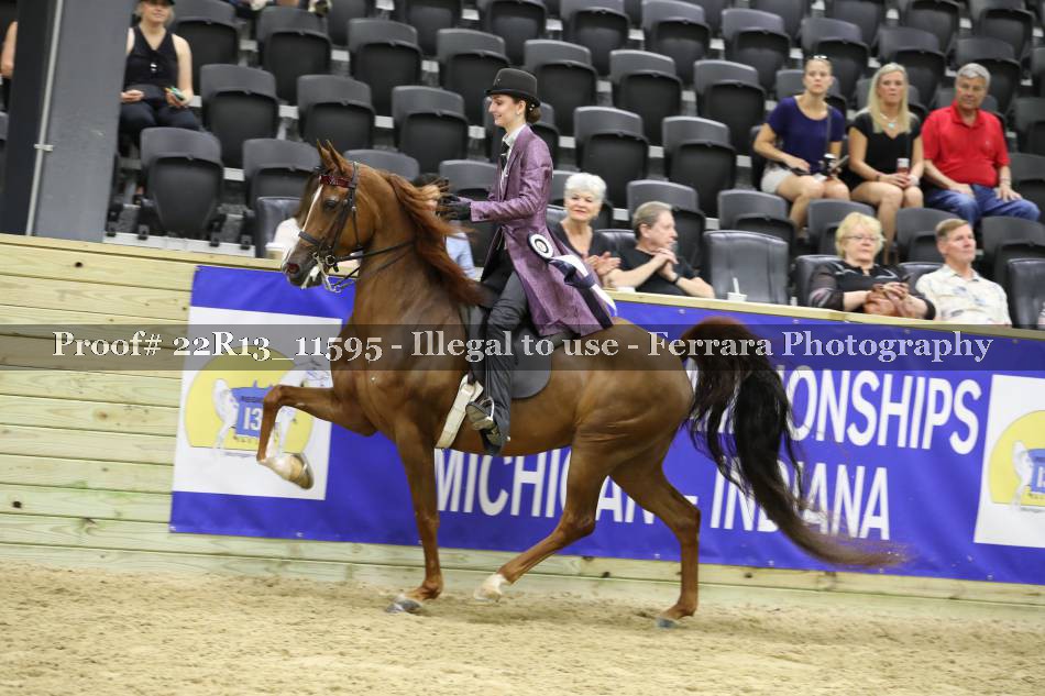 Proof 22R13_11595