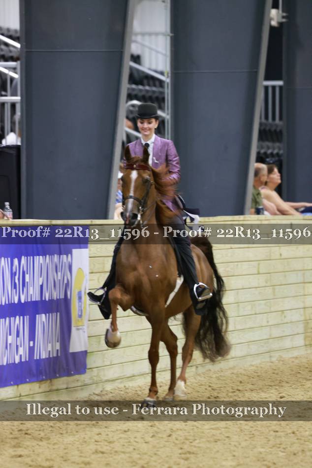 Proof 22R13_11596
