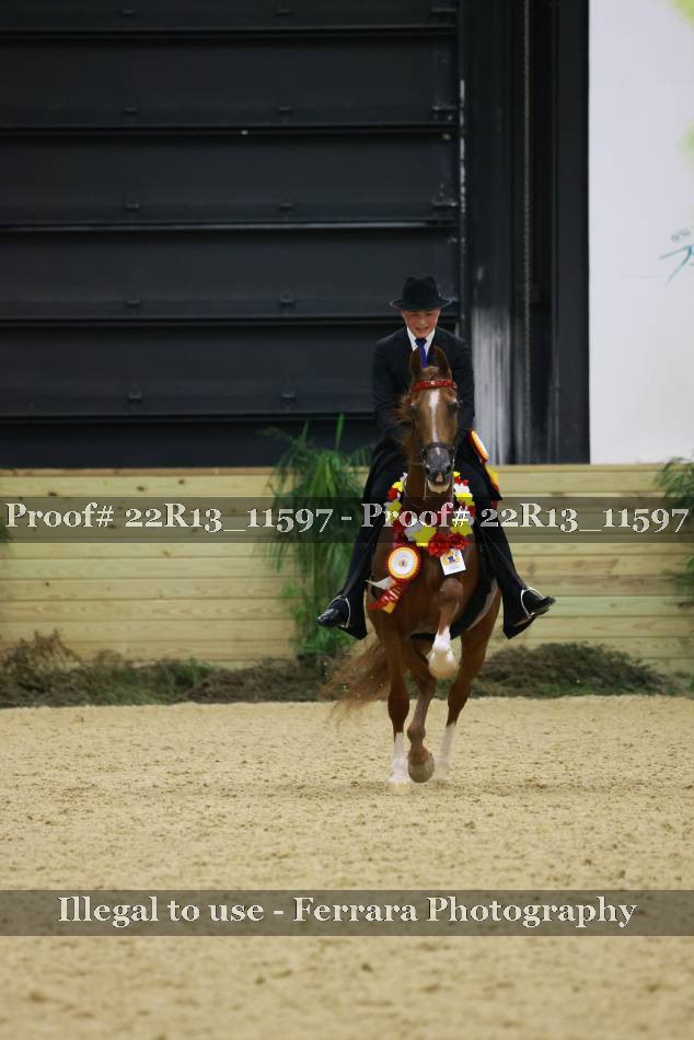 Proof 22R13_11597
