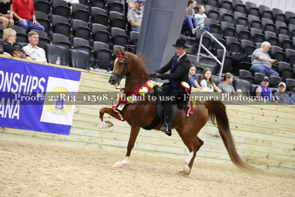 Proof 22R13_11598