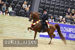 22R13_11599 proof