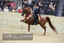 22R13_11600 proof