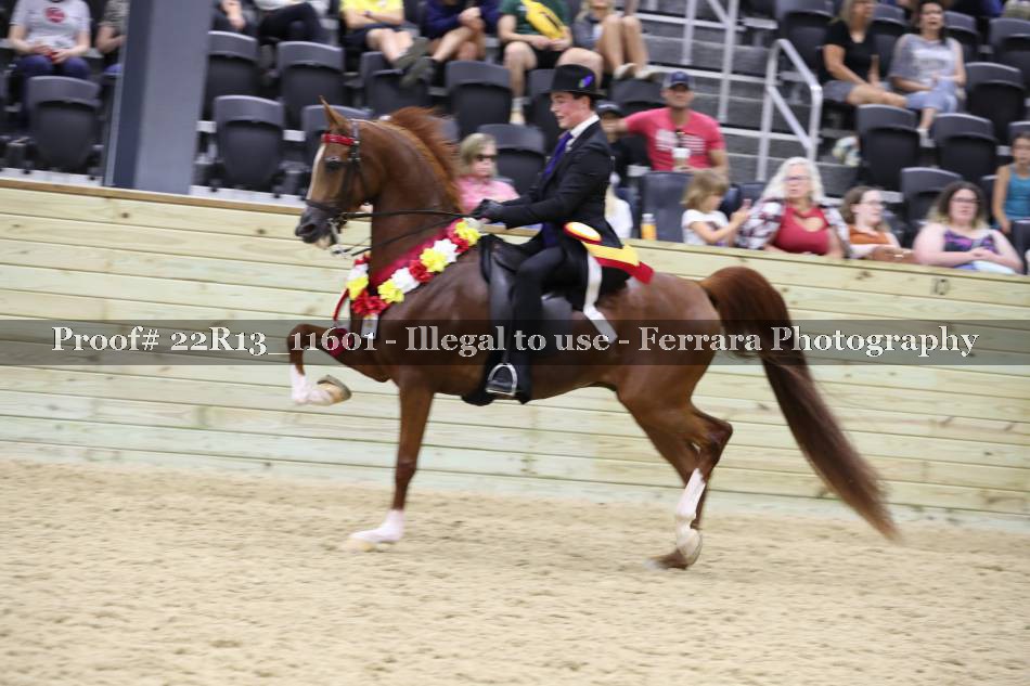 Proof 22R13_11601