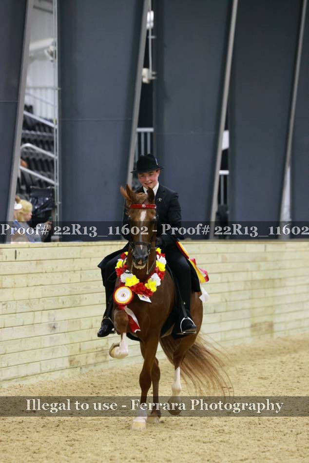 Proof 22R13_11602
