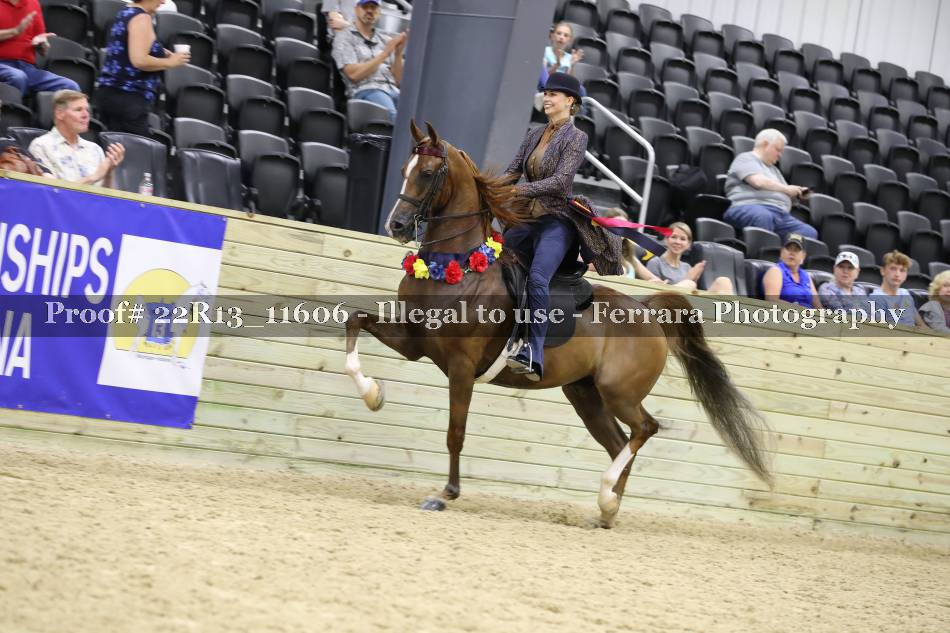 Proof 22R13_11606