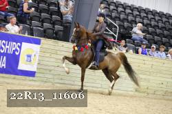 22R13_11606 proof